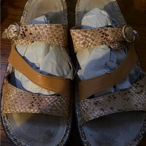 Alegria Women’s Tan Snake-Print Slide Sandals